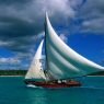 fishing sailboat dominican republic normal